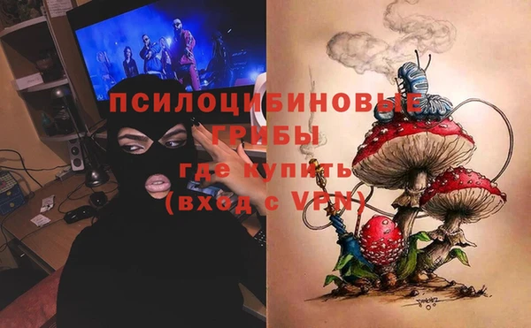 дживик Вязьма